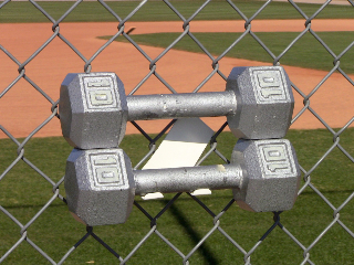 Strong Bat Hanger
